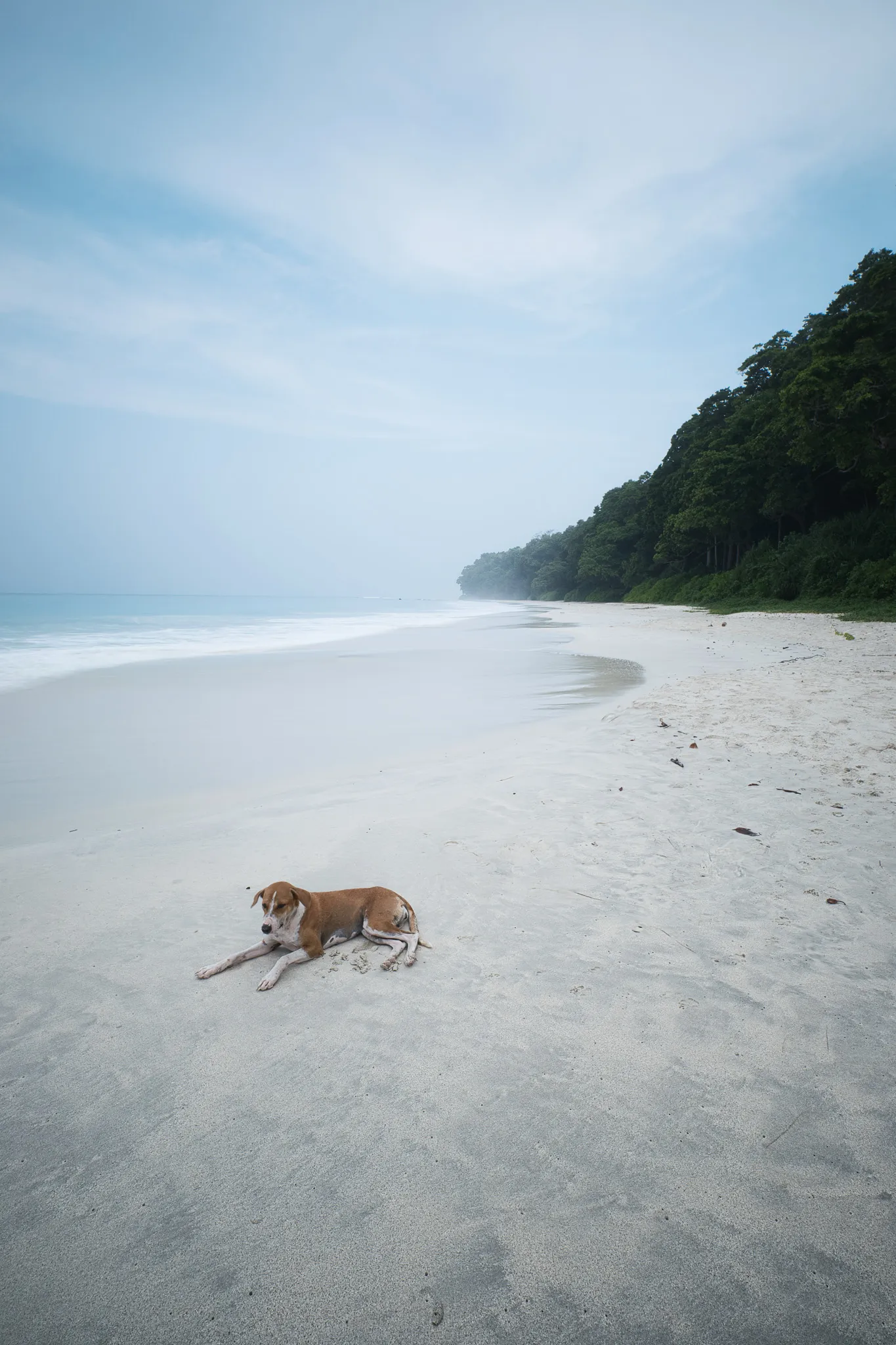 Calm coast