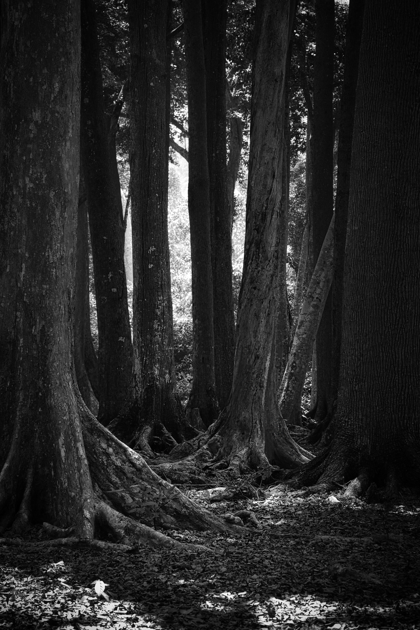 Ethereal Waters — Fine Art print