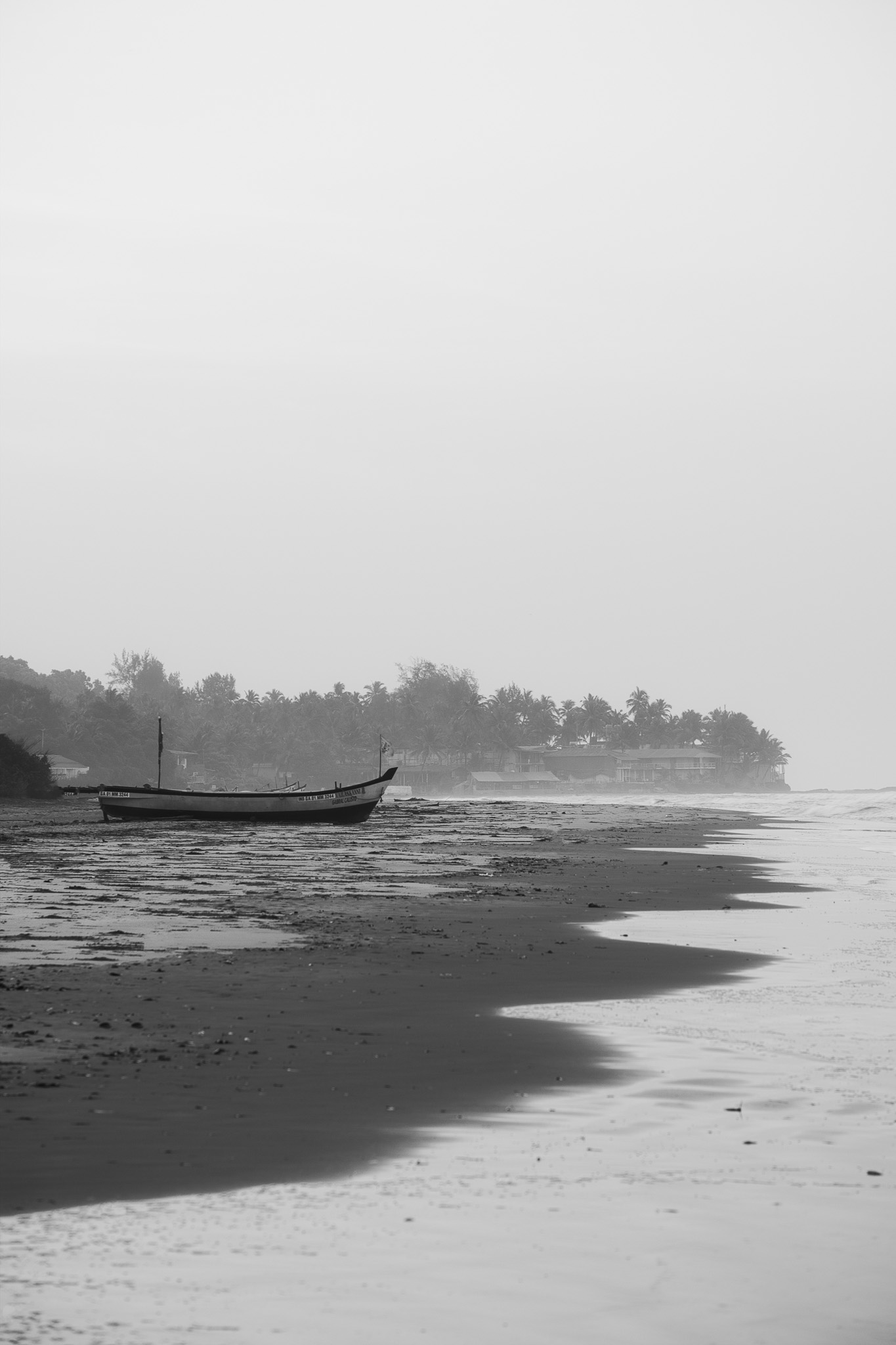 Forest Light — Landscapes print