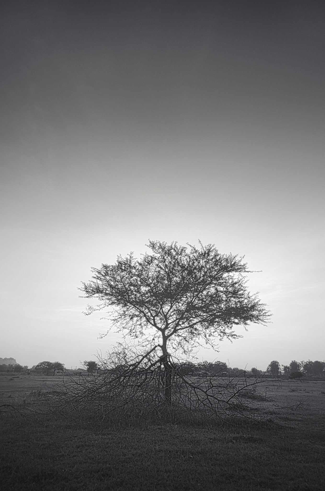 Venice Lagoon Crossing — Heritage print