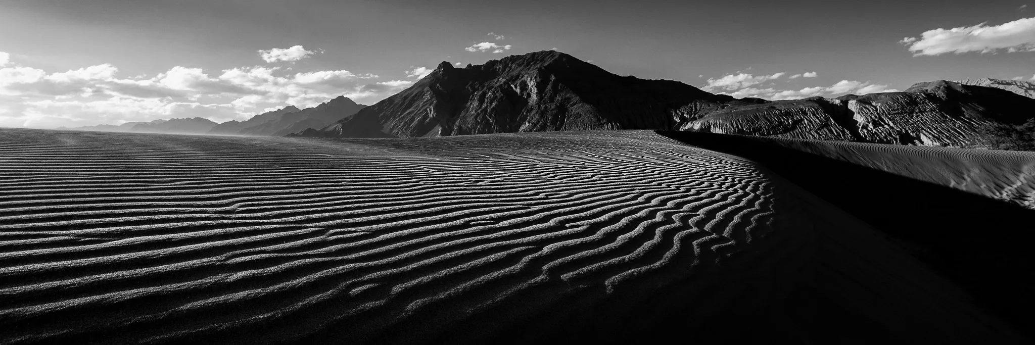 Panoramic desert