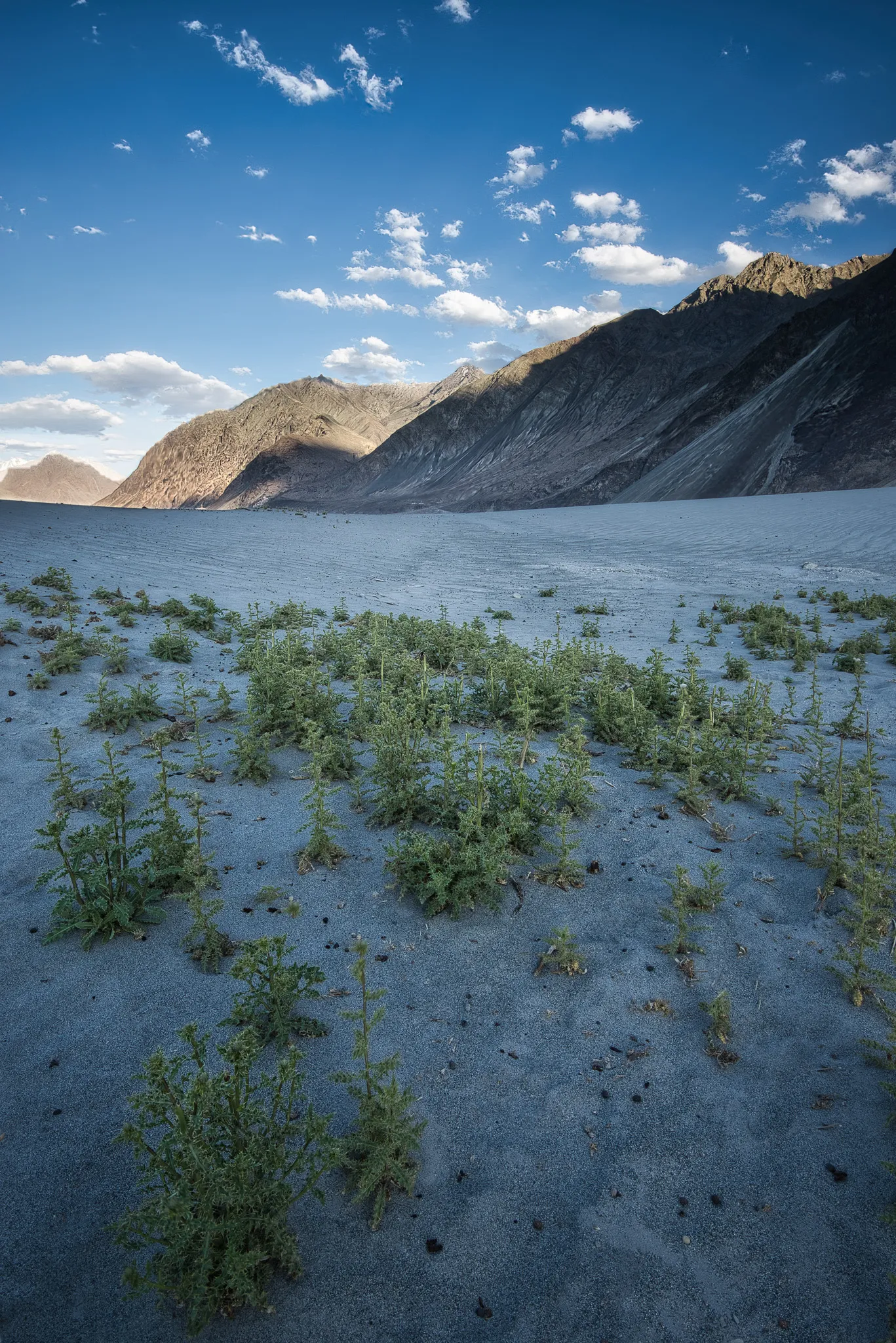 Hill landscape