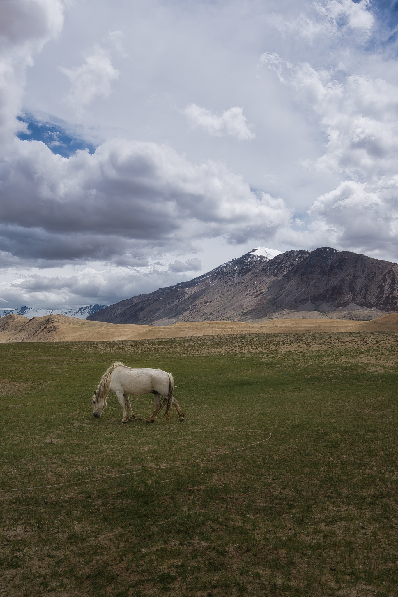 Rolling Meadows — Landscapes print