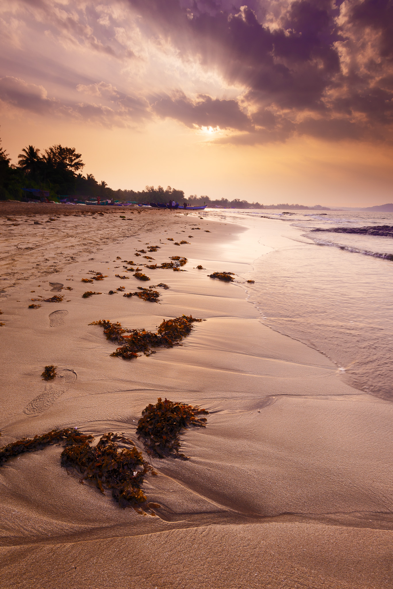 Golden Shore — Coastal print