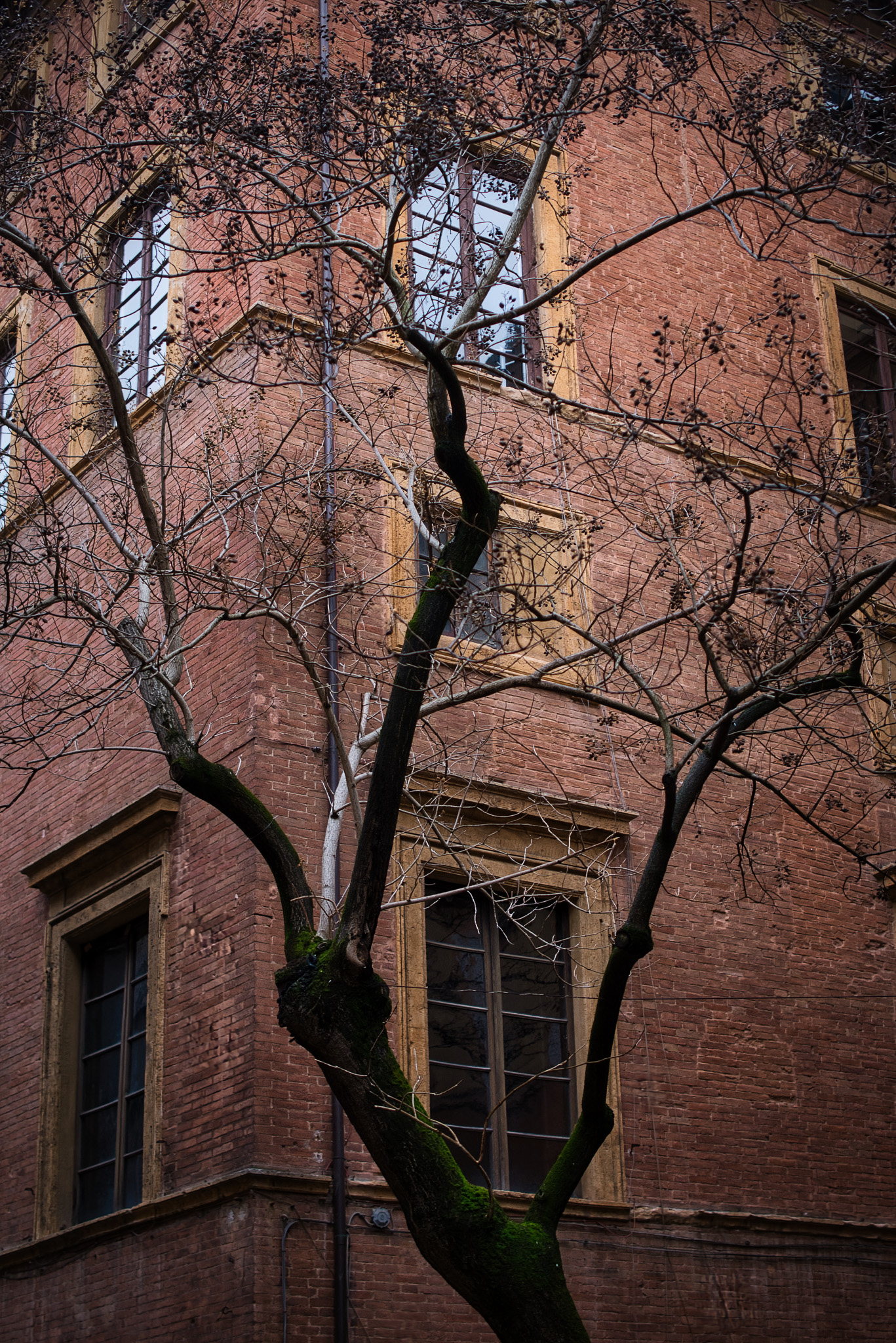 Twilight Glow — Fine Art print