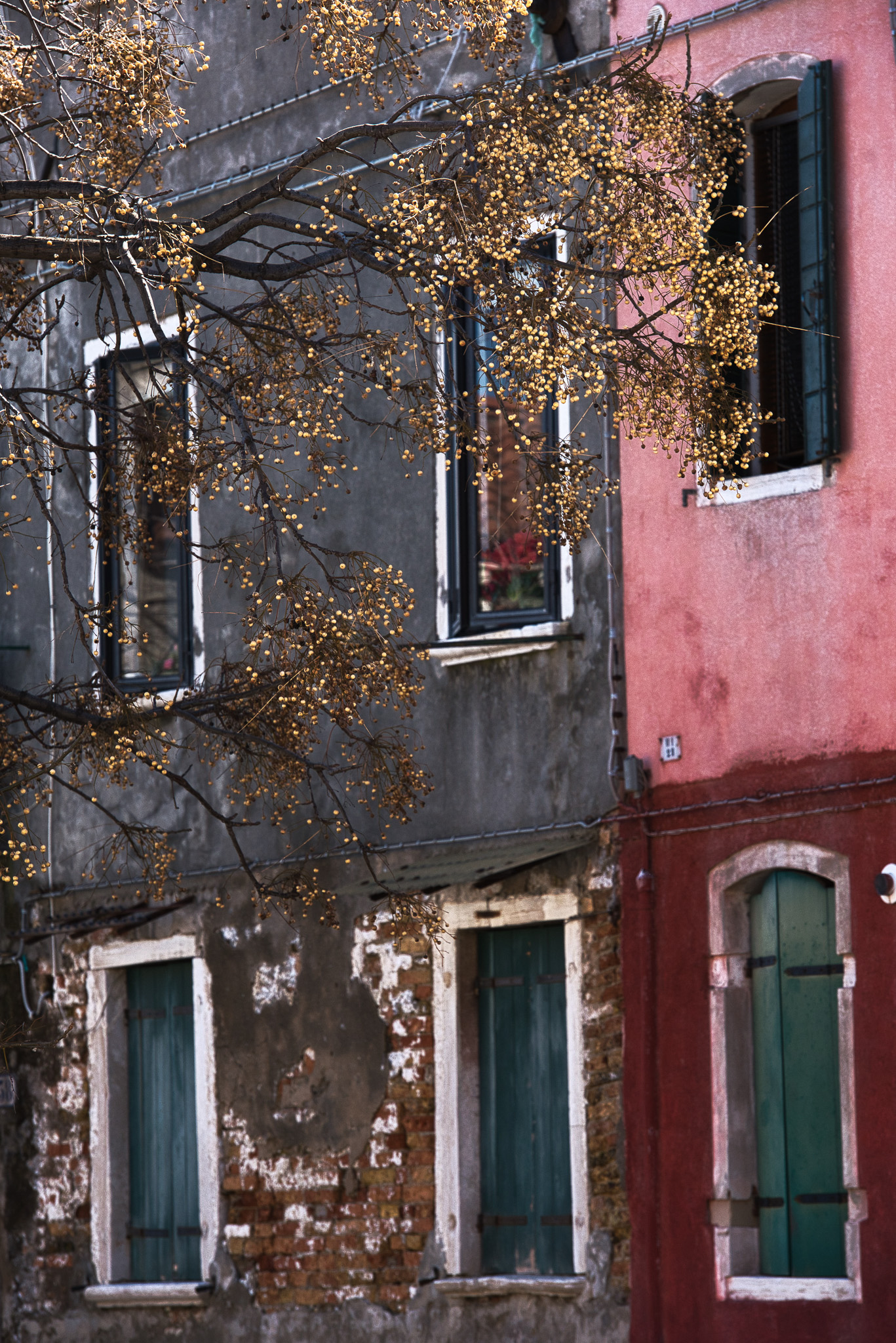 Venetian Facades — Street print